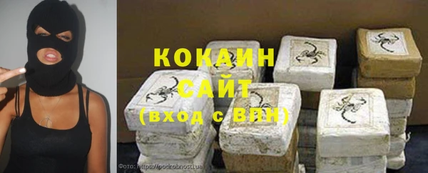 молекула духа Сосновый Бор